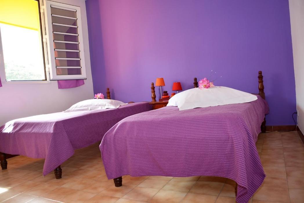 Residence De Vacances Mon Refuge - Bungalow De Type T3 Grande Anse 外观 照片