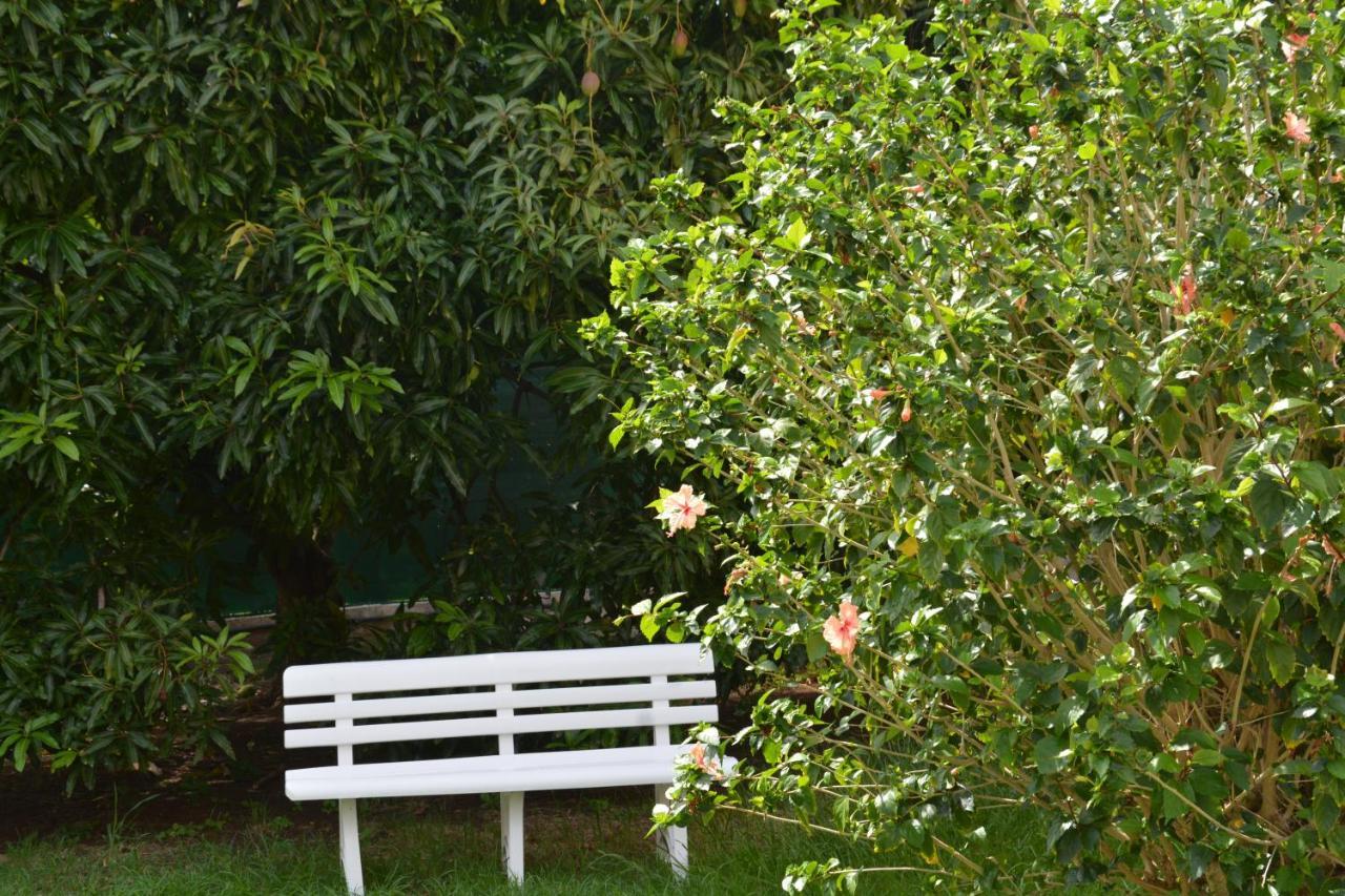 Residence De Vacances Mon Refuge - Bungalow De Type T3 Grande Anse 外观 照片