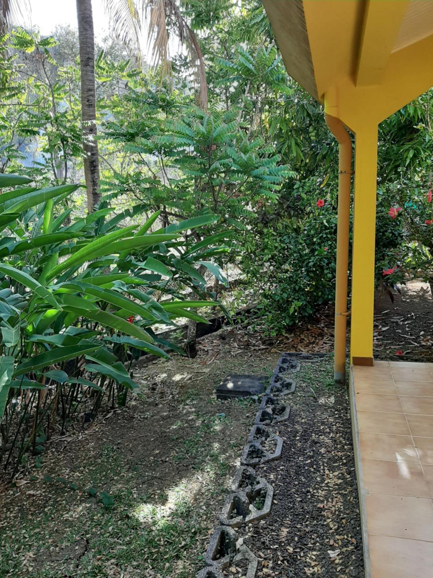 Residence De Vacances Mon Refuge - Bungalow De Type T3 Grande Anse 外观 照片