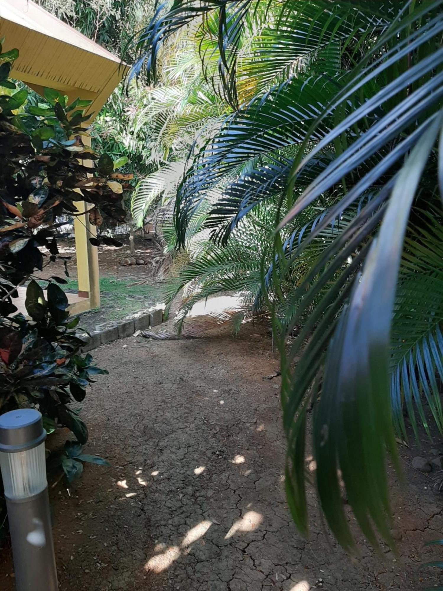 Residence De Vacances Mon Refuge - Bungalow De Type T3 Grande Anse 外观 照片