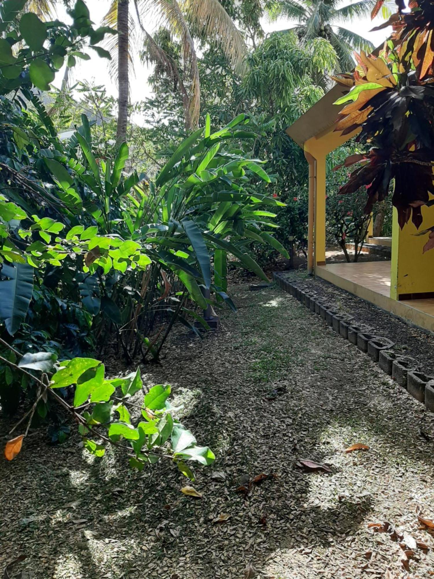 Residence De Vacances Mon Refuge - Bungalow De Type T3 Grande Anse 外观 照片